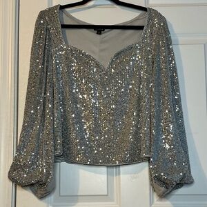 Torrid Silver Sequin Blouse